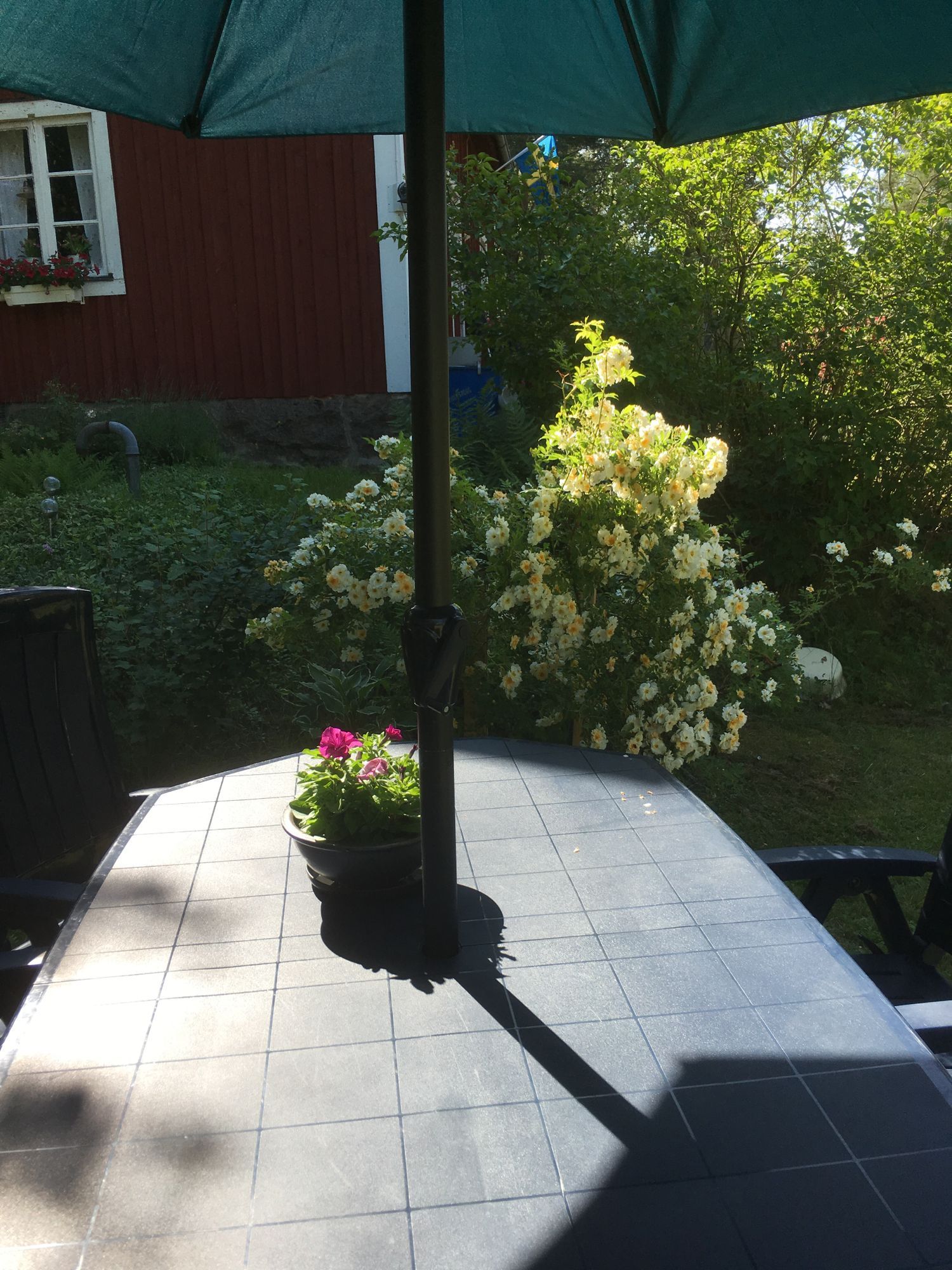 Röd stuga i Småland m egen brygga och roddbåt – bild 12 av 24