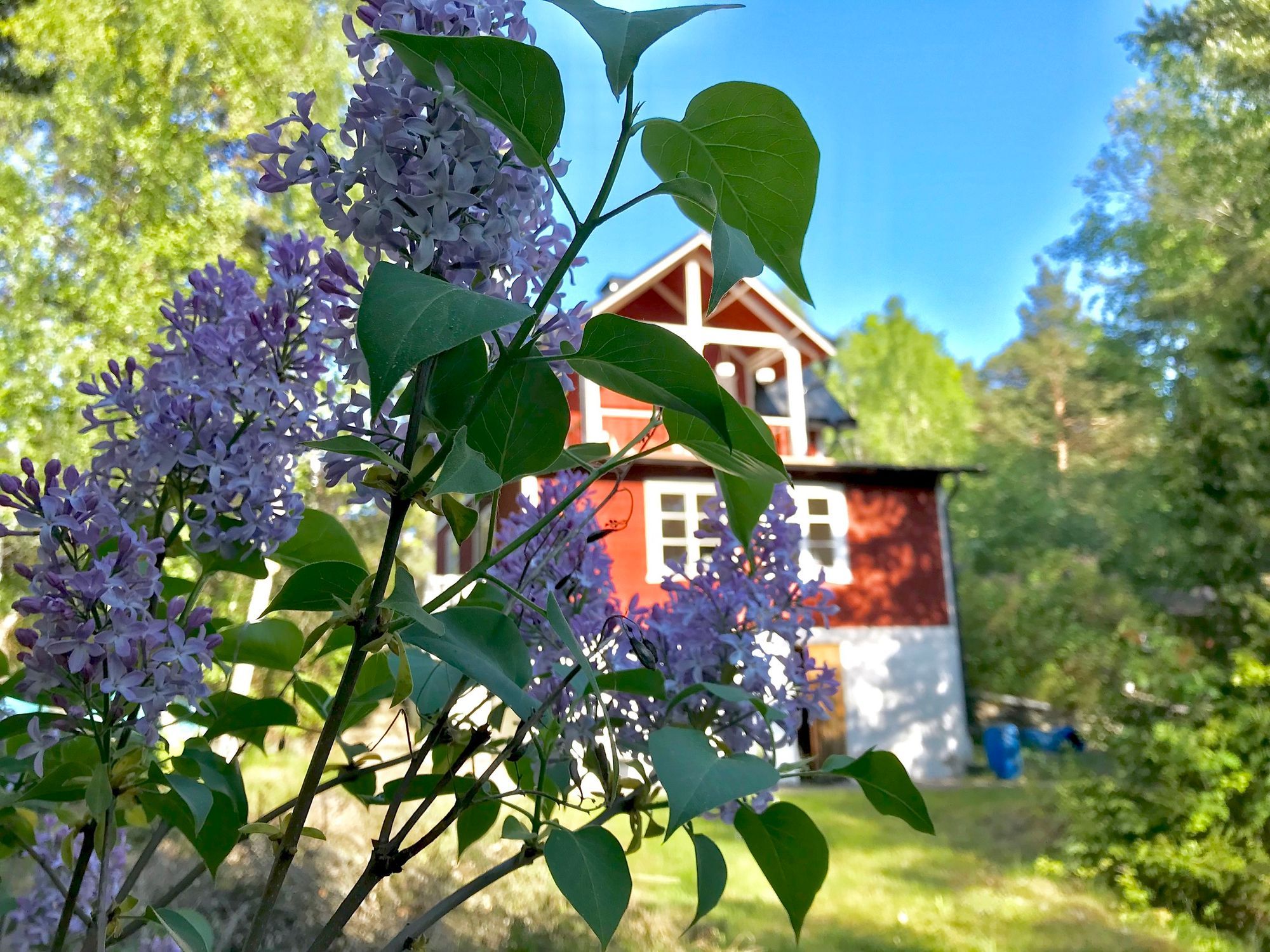 Sjönära Skarpö, Vaxholm, Stockholm, skärgården – bild 2 av 24
