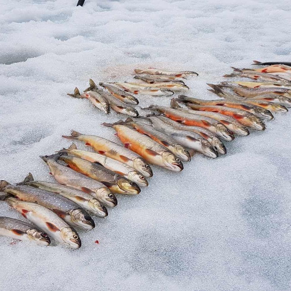 SJÄLARO Fjällstuga SAXNÄS – bild 9 av 24