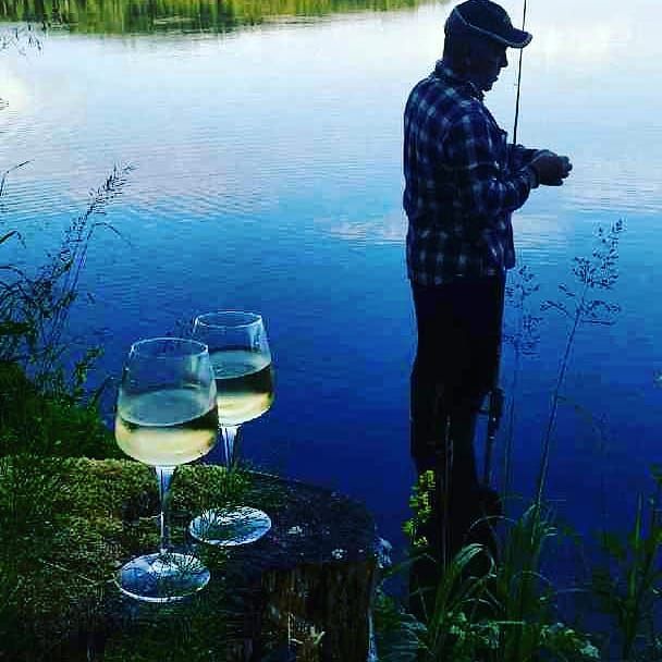 SJÄLARO Fjällstuga SAXNÄS – bild 8 av 24