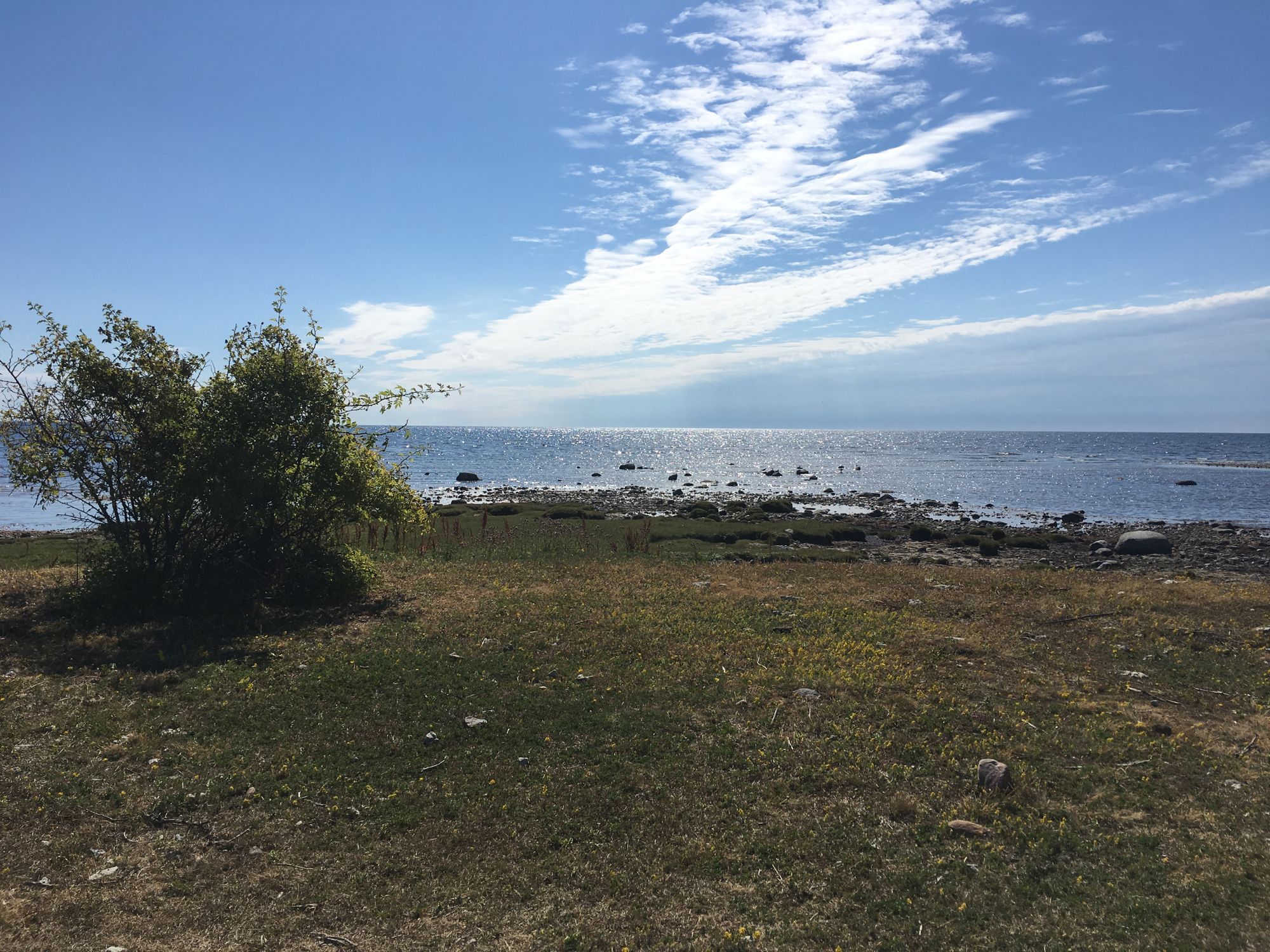 Mysig stuga nära havet i Kesnäs Udde, Norra Öland – bild 20 av 23
