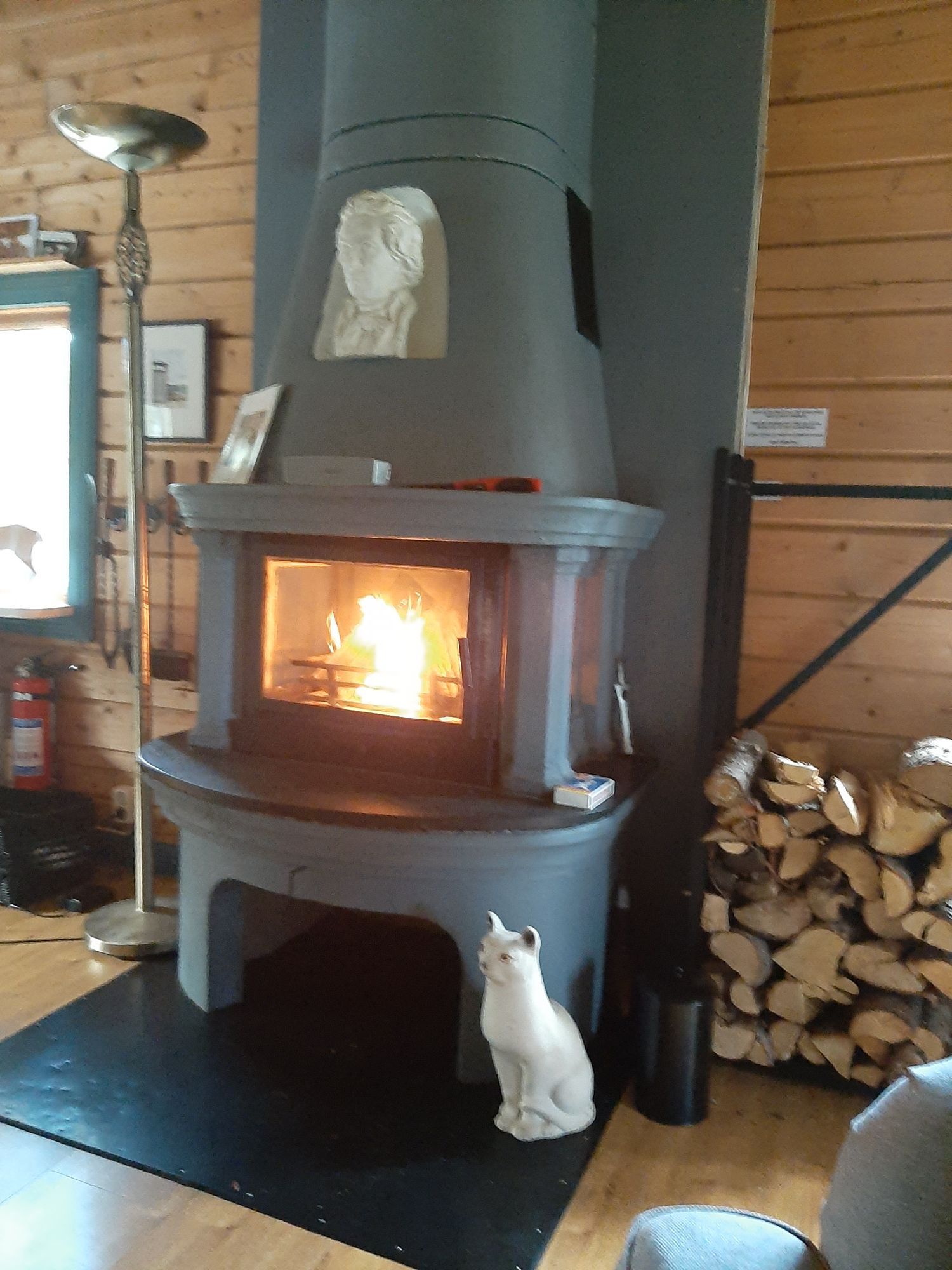 SJÄLARO Fjällstuga SAXNÄS – bild 3 av 24
