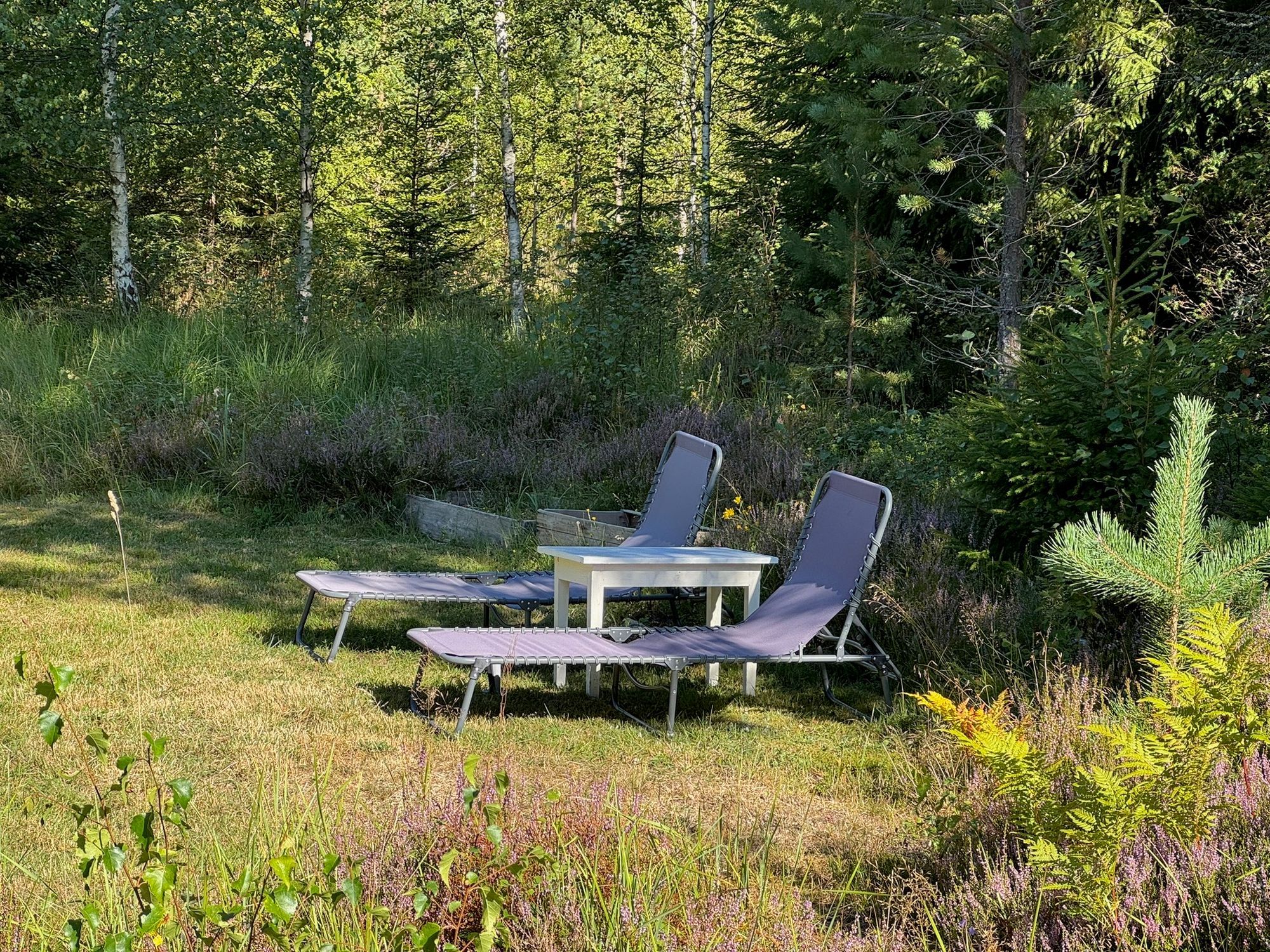 Hemtrevligt hus mitt i skogen nära egen sjö – bild 14 av 20