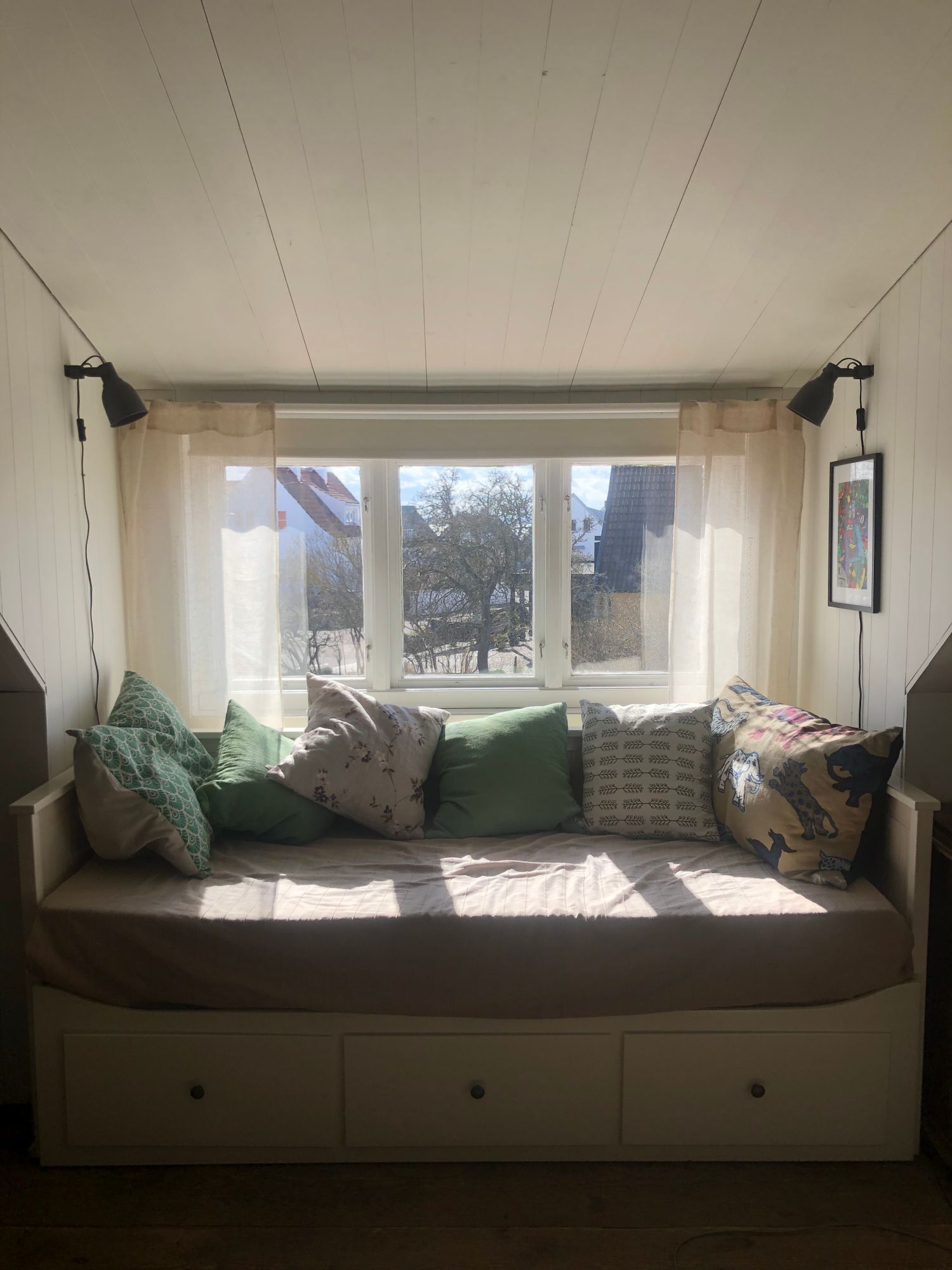Charmigt gathus nära havet – bild 11 av 22