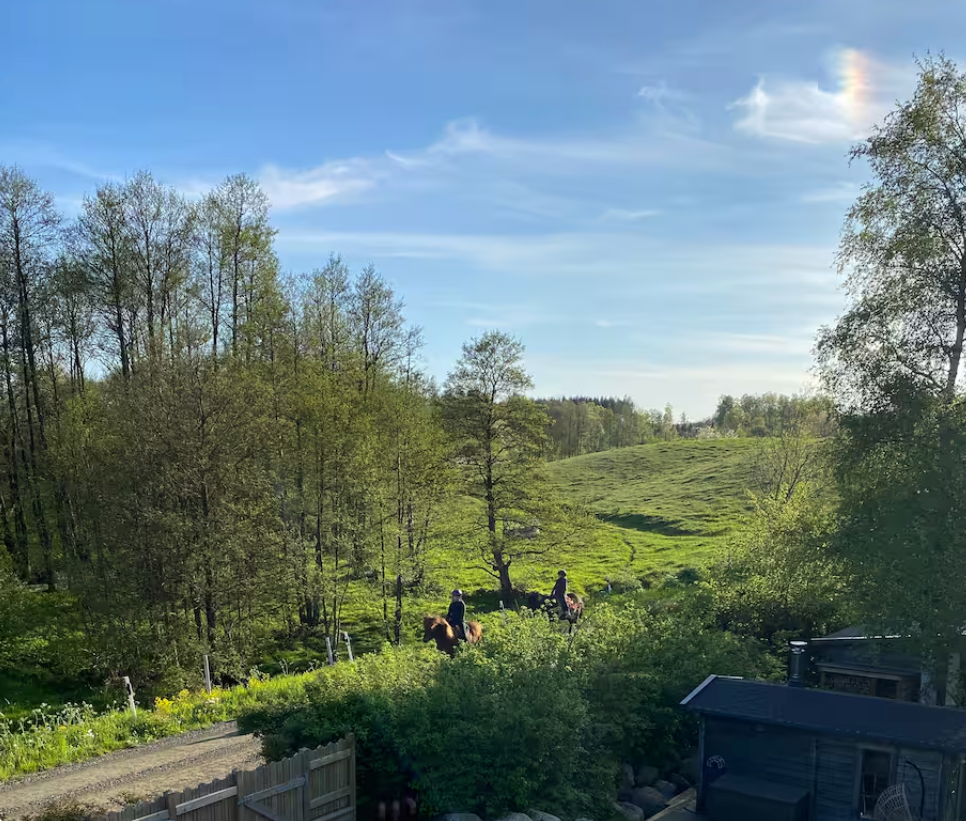 Österlen: 8 bäddar, uppvärmd pool, bastu, stränder – bild 19 av 24