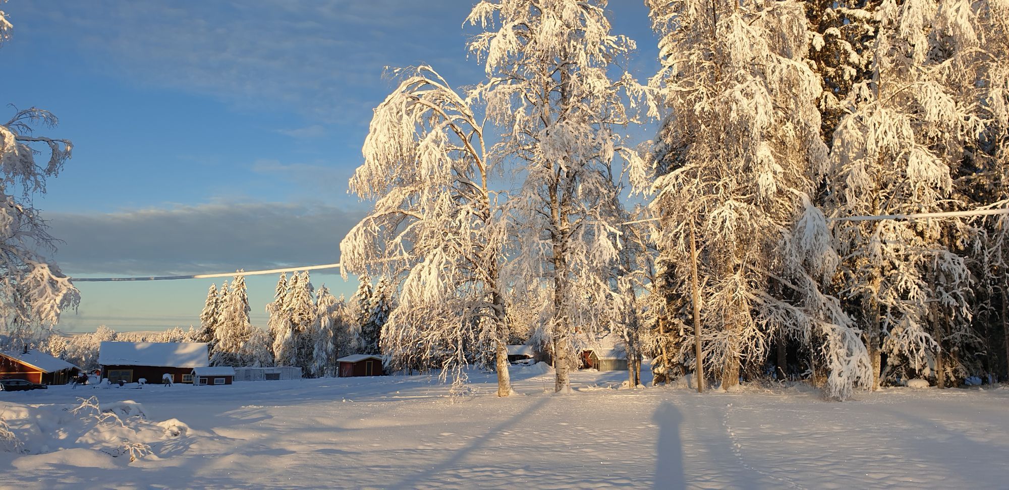 Charmig stuga nära Dammåns fiske och Bydalsfjällen – bild 23 av 24