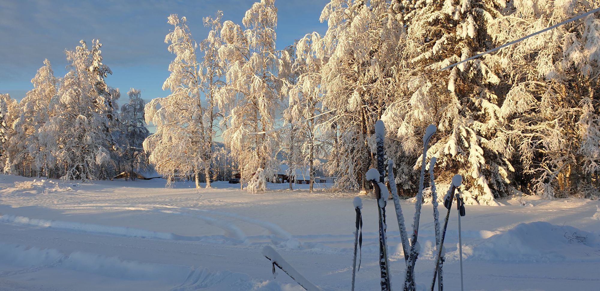 Charmig stuga nära Dammåns fiske och Bydalsfjällen – bild 22 av 24
