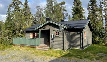 Omtyckt & välutrustad stuga i Sågbäcken/Grövelsjön