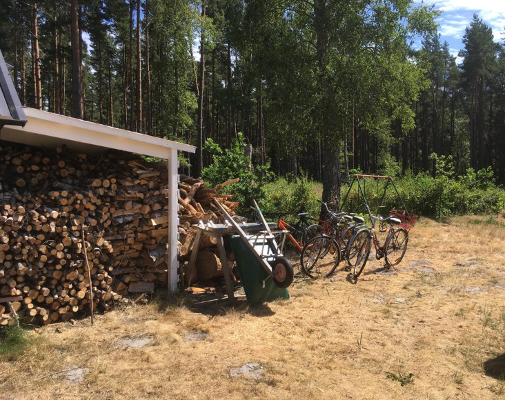 Sandhammaren, Skåne – bild 6 av 12