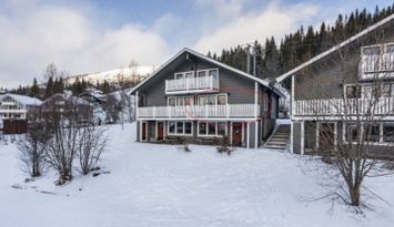 Fin lägenhet med ski-in, nära affär och resturang