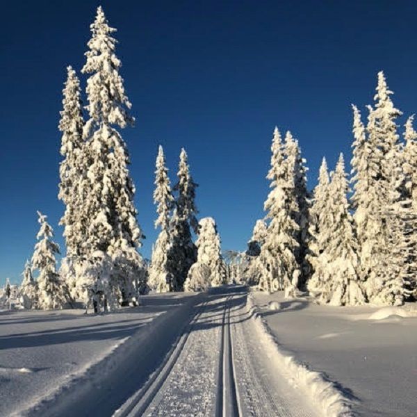 Tandådalen, Tandåbyn, sänkta priser hela sommaren! – bild 24 av 24