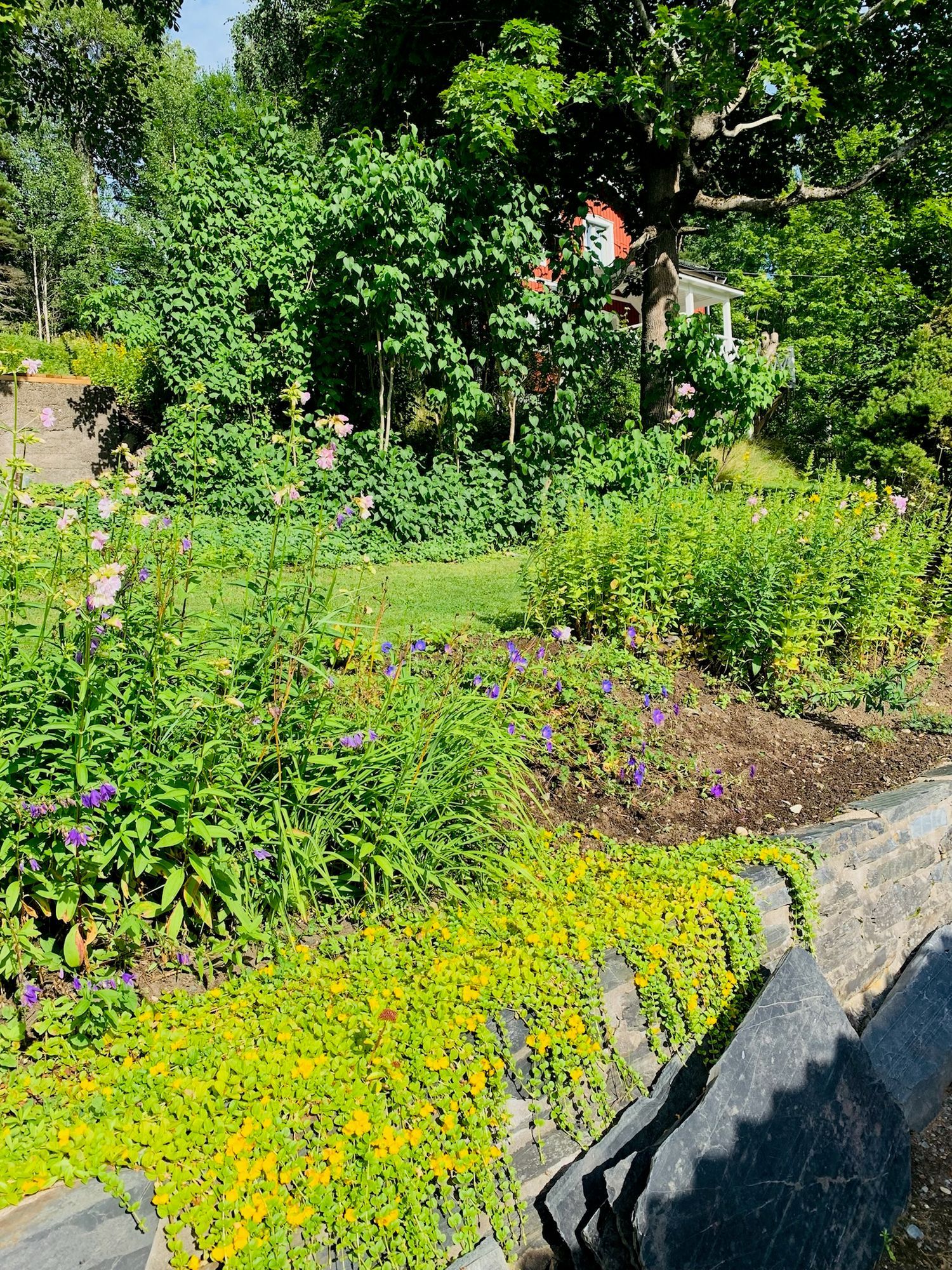 Stuga i trolska Bergslagen – bild 4 av 19