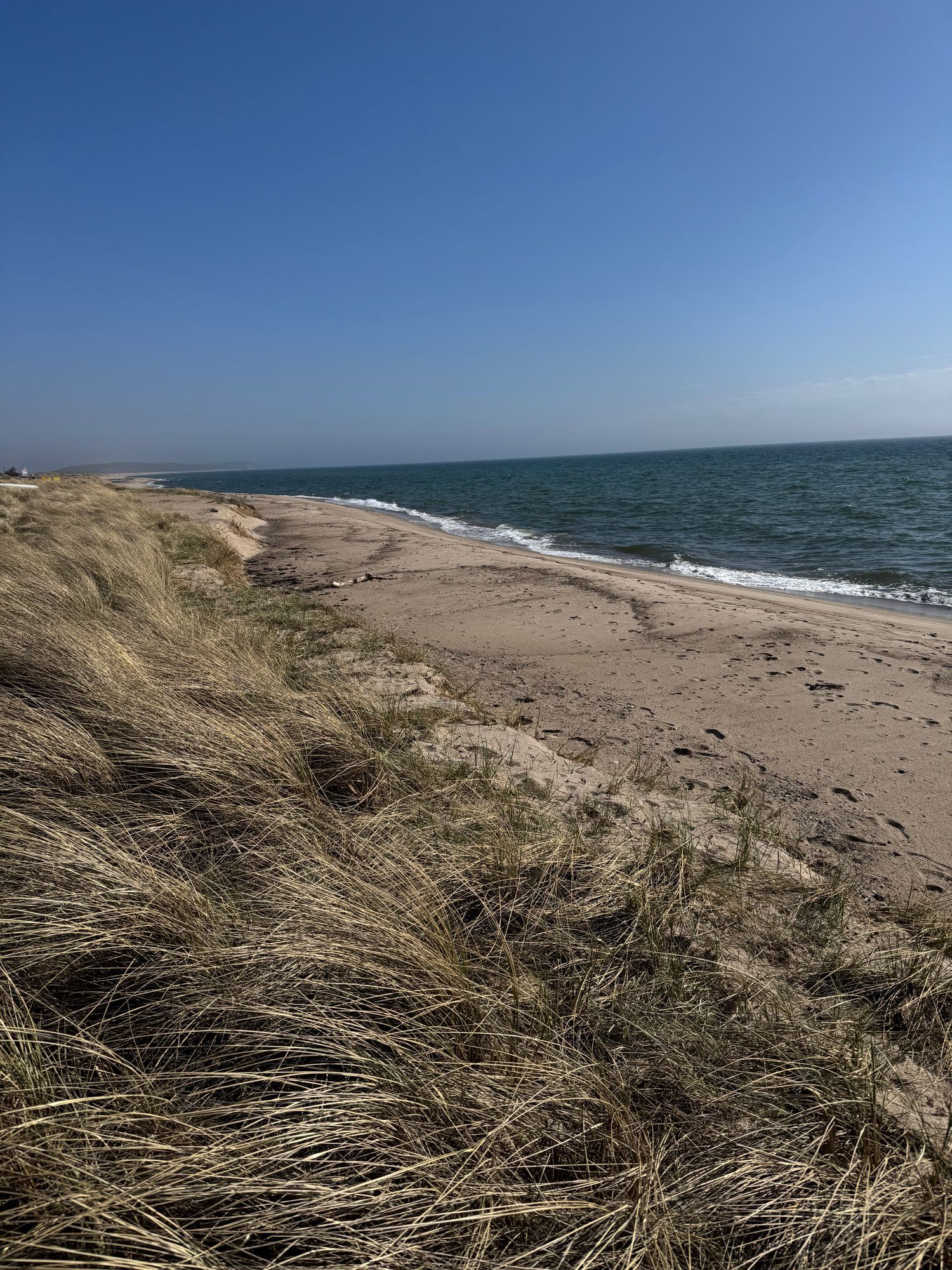 Stuga 100 m från havet i lugna Nybrostrand (Ystad) – bild 16 av 16