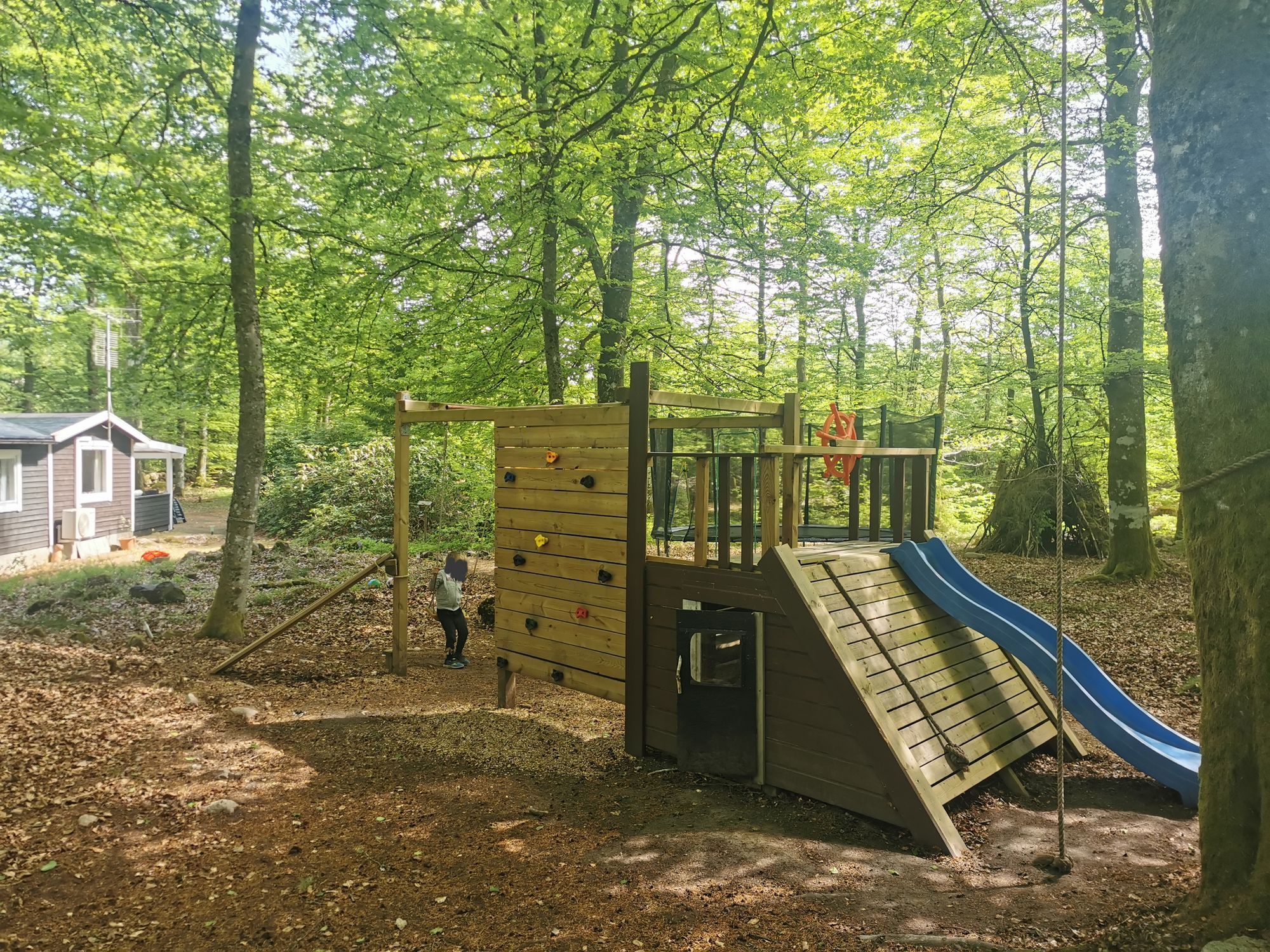 Mysig stuga mitt i bokskogen och stenkast från sjö – bild 20 av 24