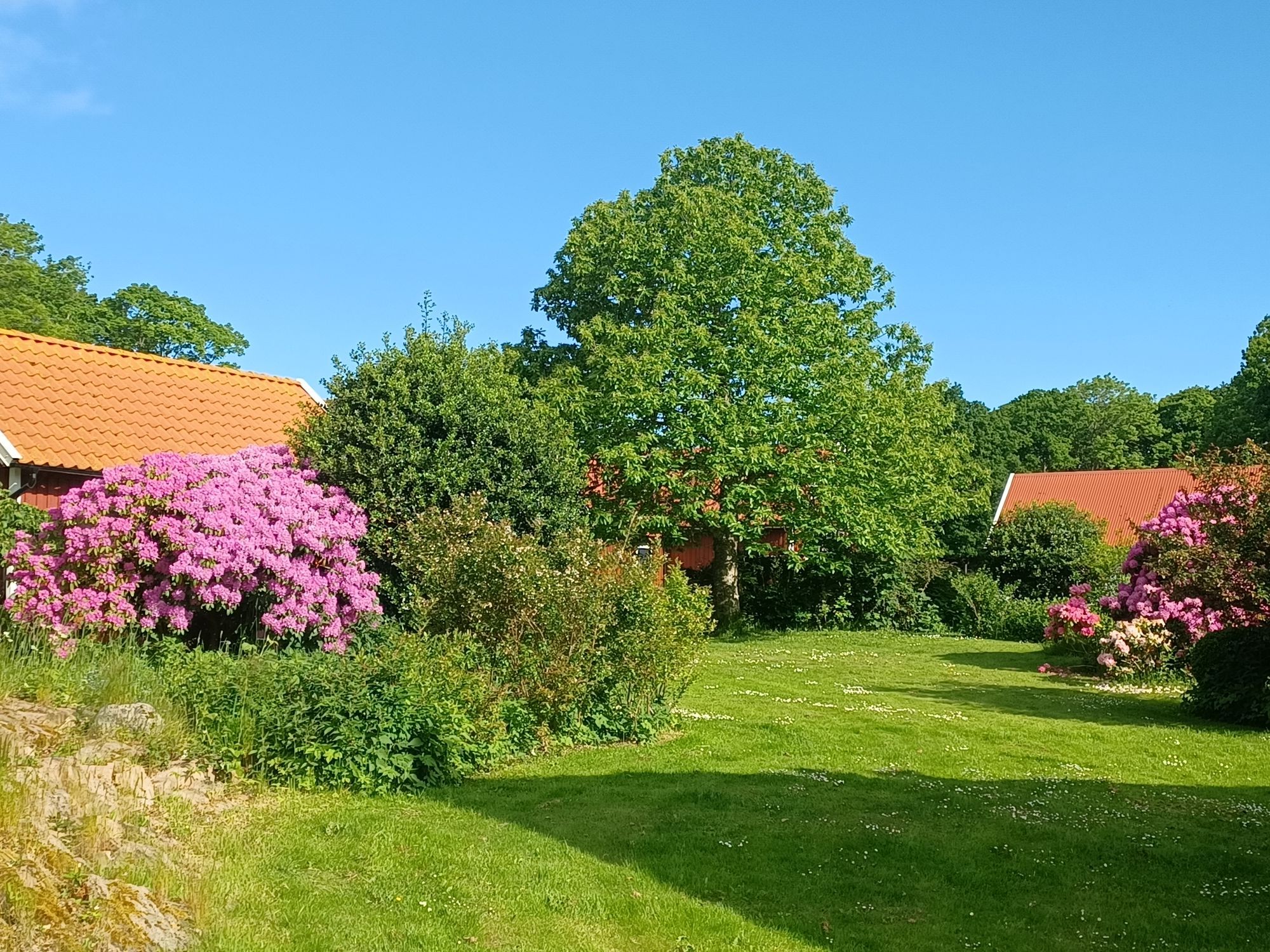 Modern stuga Arild – bild 6 av 15