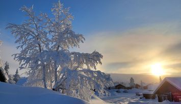 Hemtrevlig stuga på Högfjället med ski in/ski out