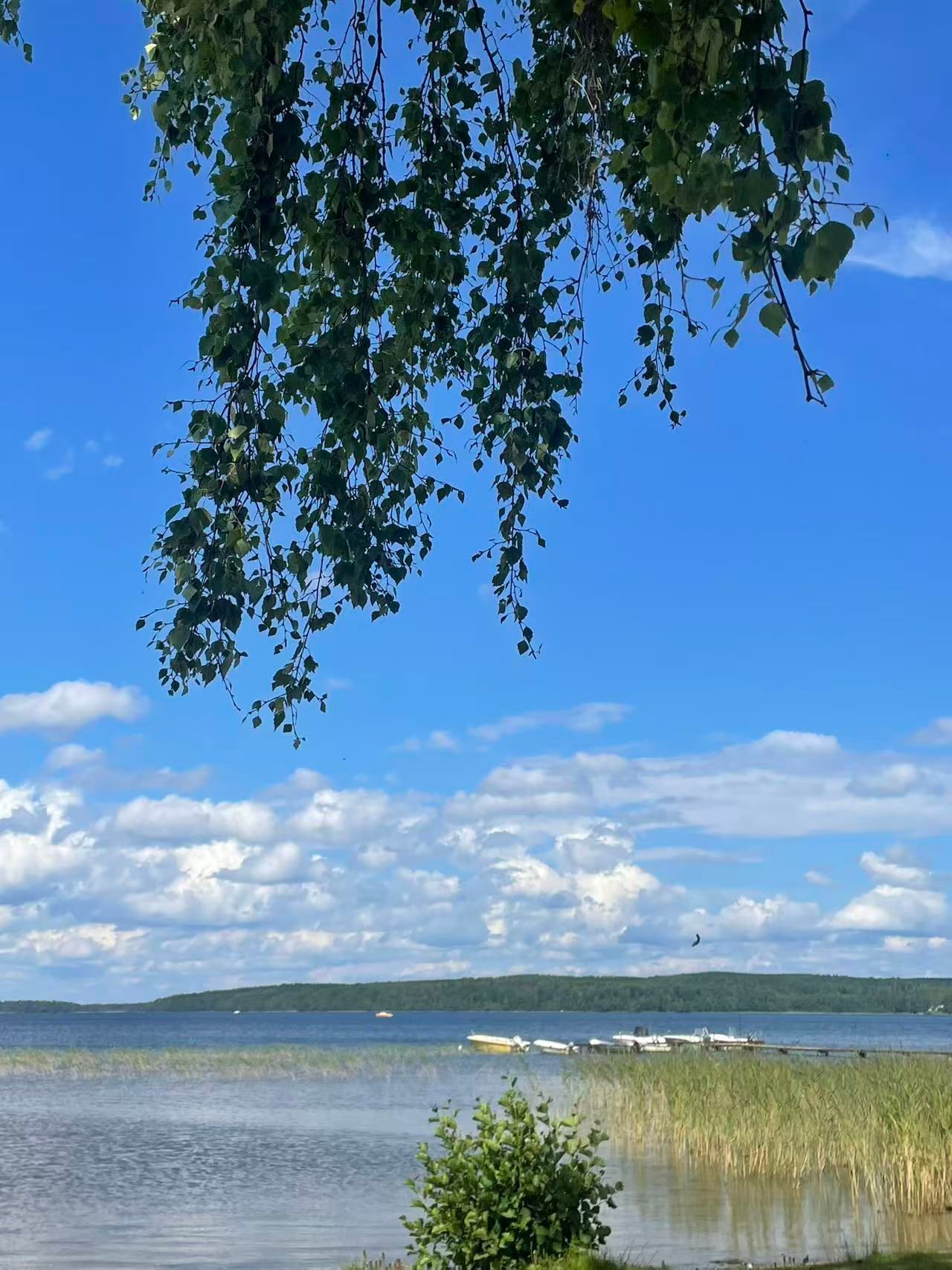 Charmigt Villa bredvid sjön Örlen – bild 6 av 19