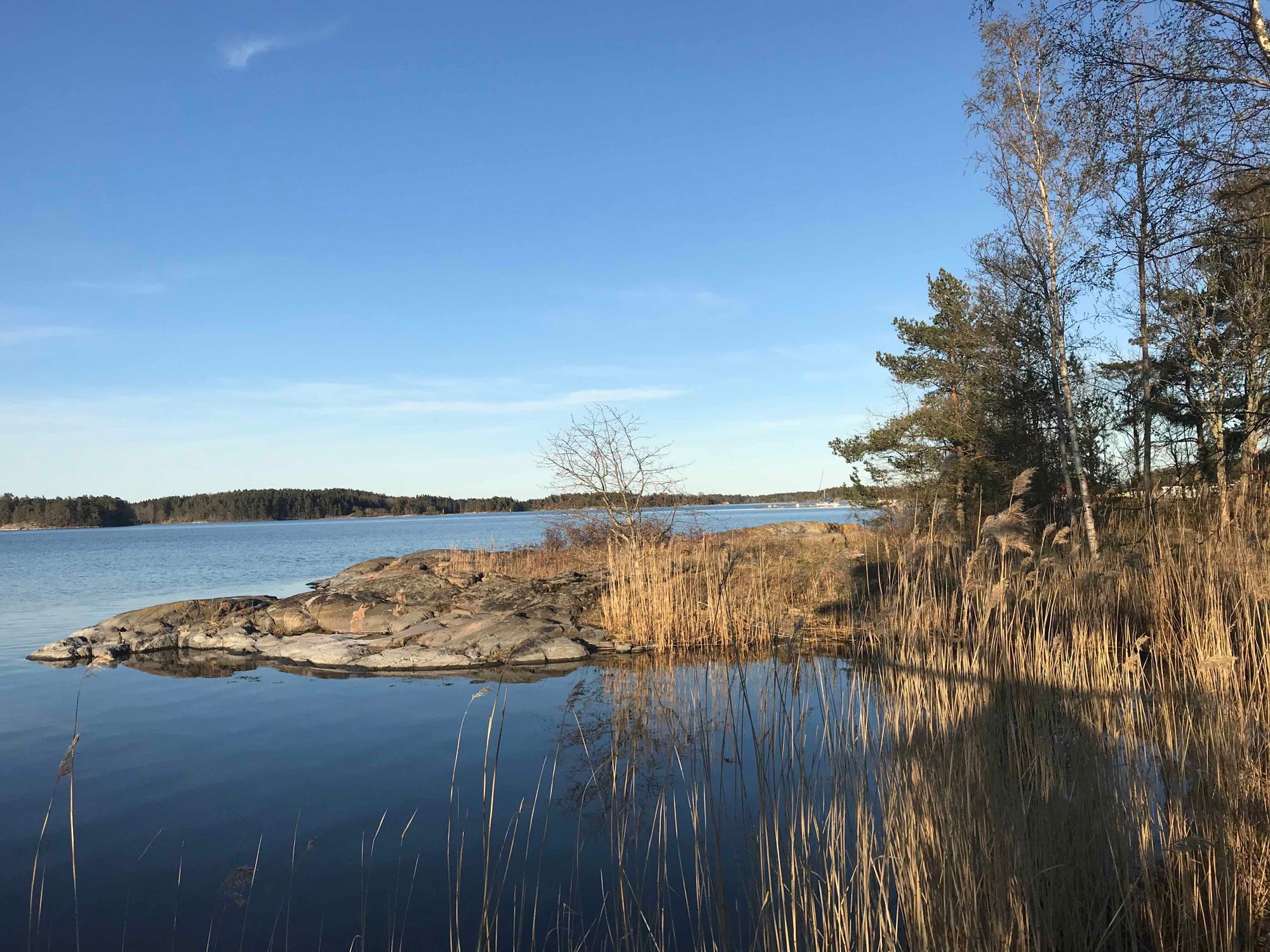 En stuga vid havet i Gryts Skärgård – bild 6 av 13