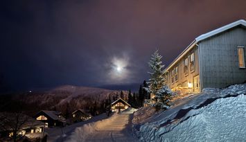 Vemdalsskalet - Ski in/out, 1 eller 2 familjer