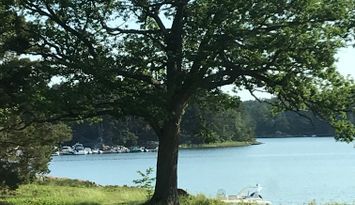 Underbart Sjöställe Stockholms Skärgård