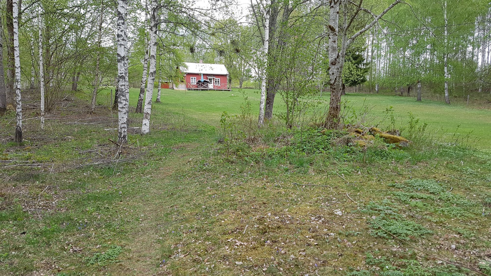 En mysig stuga mitt i ett naturreservat i Dalsland – bild 11 av 24