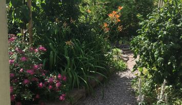 Centralt i Borgholm.