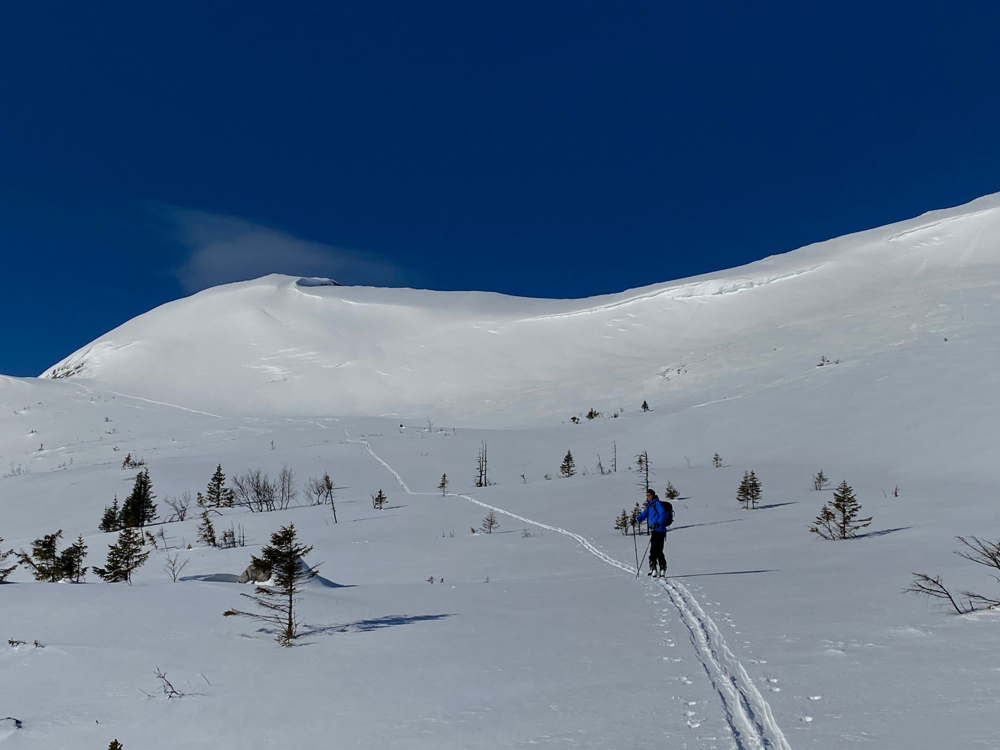 Välkommen till Åre Timberlodge – bild 16 av 20