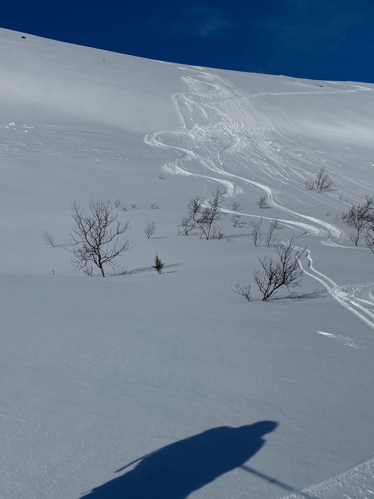 Välkommen till Åre Timberlodge – bild 18 av 20