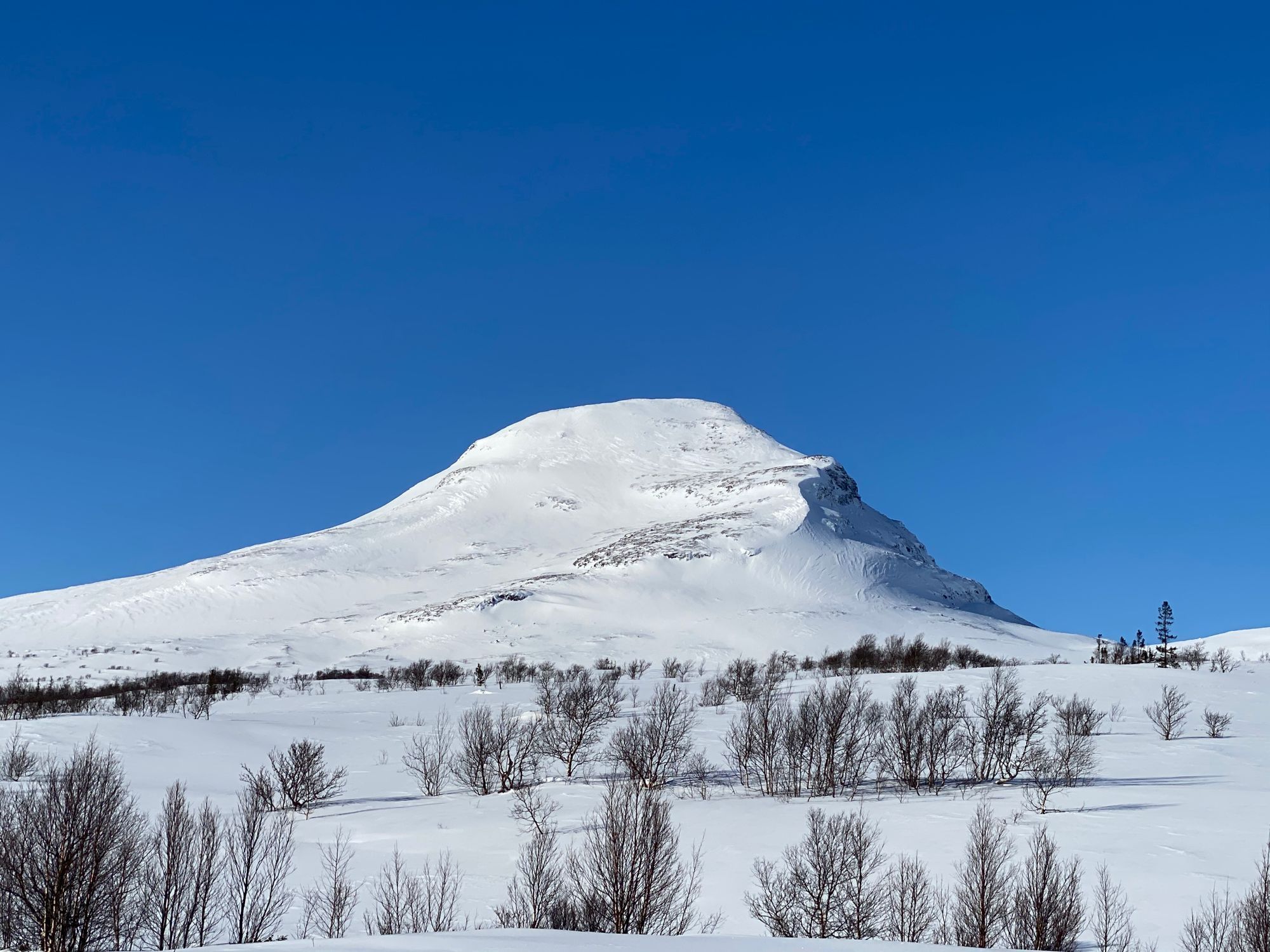 Välkommen till Åre Timberlodge – bild 19 av 20