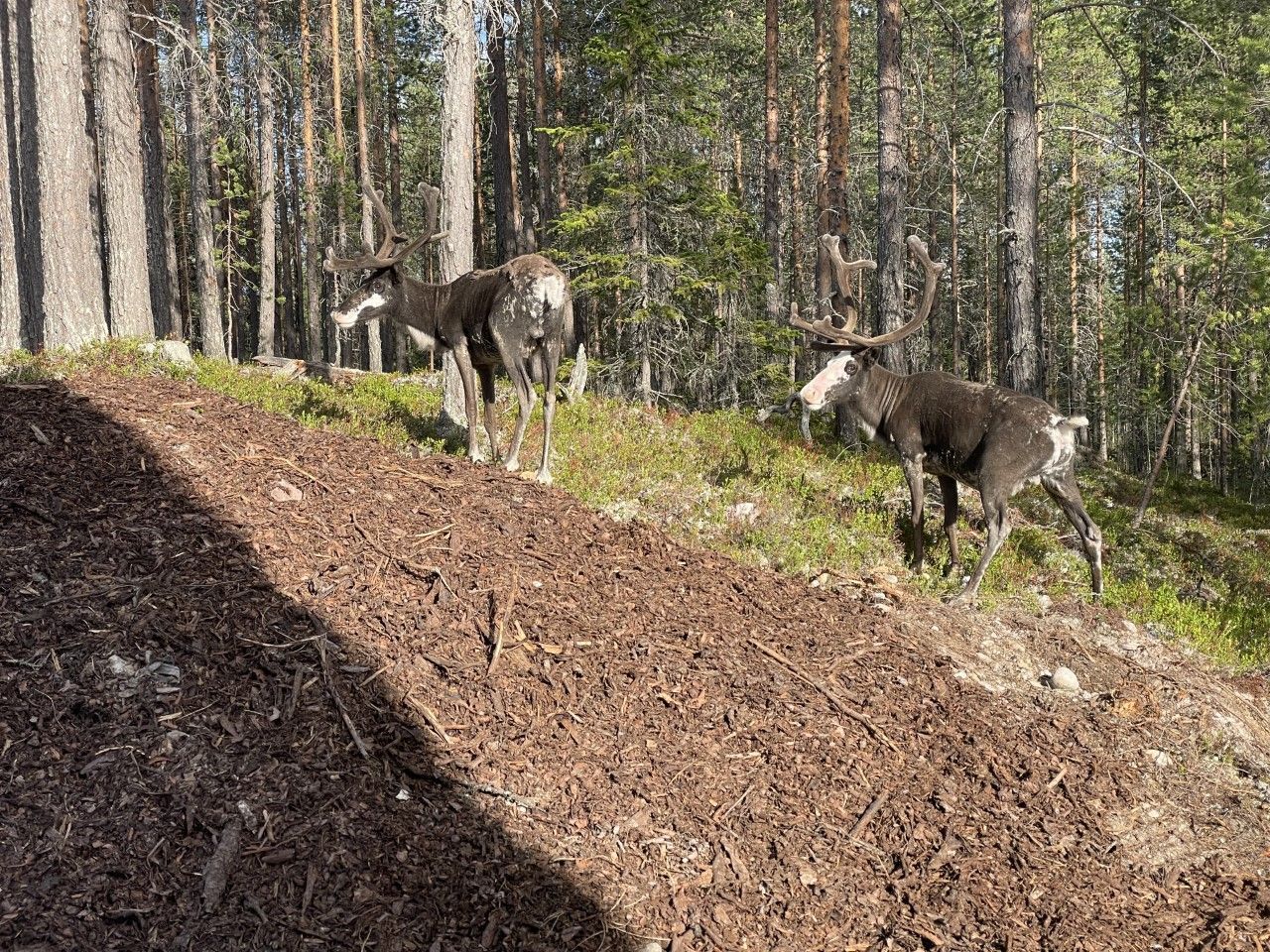 Ny producerad lägenhet nära Idrefjäll/Himmelfjäll – bild 15 av 24