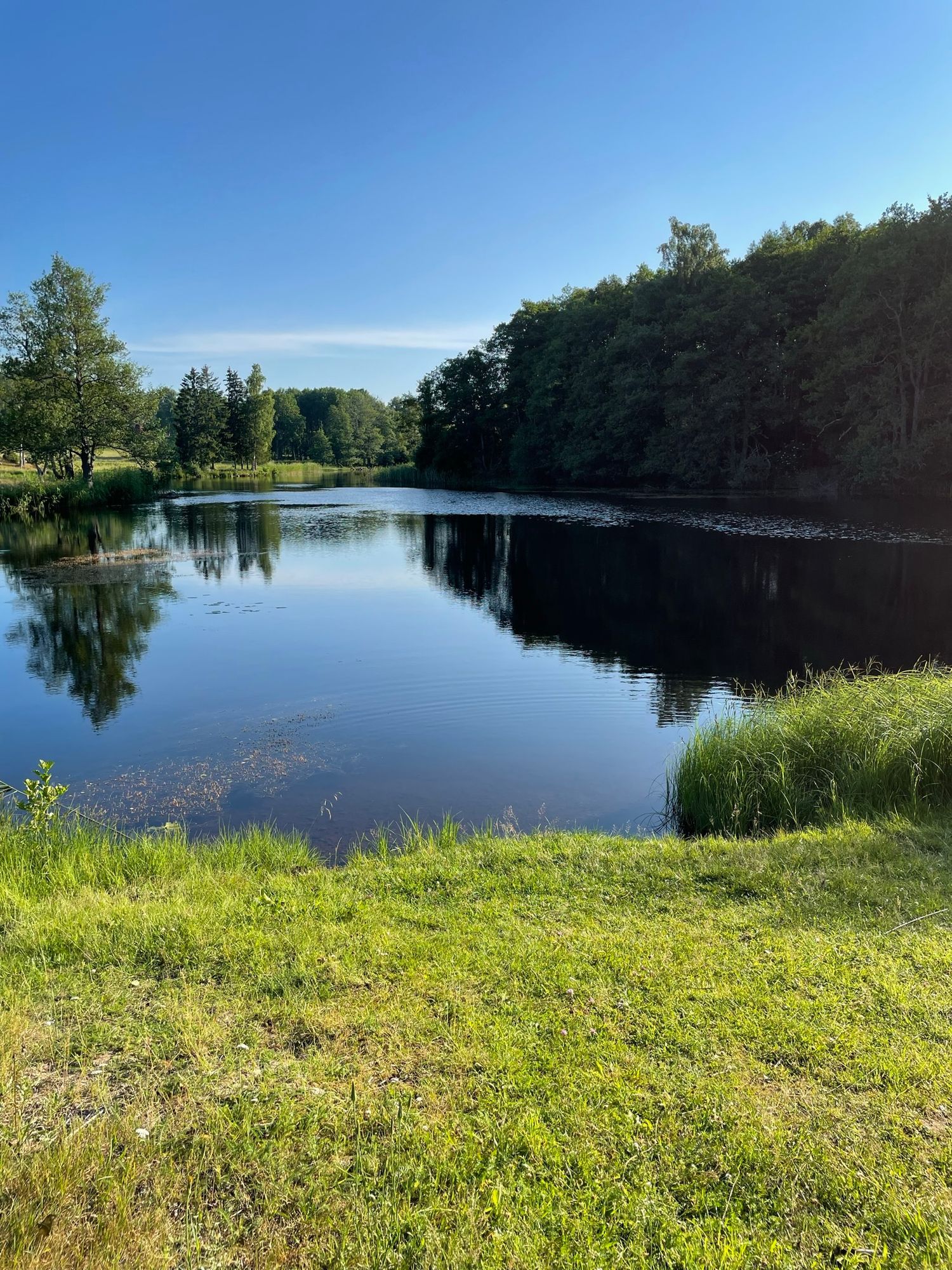 Mysigt torp i naturskön miljö, internet via fiber. – bild 14 av 16