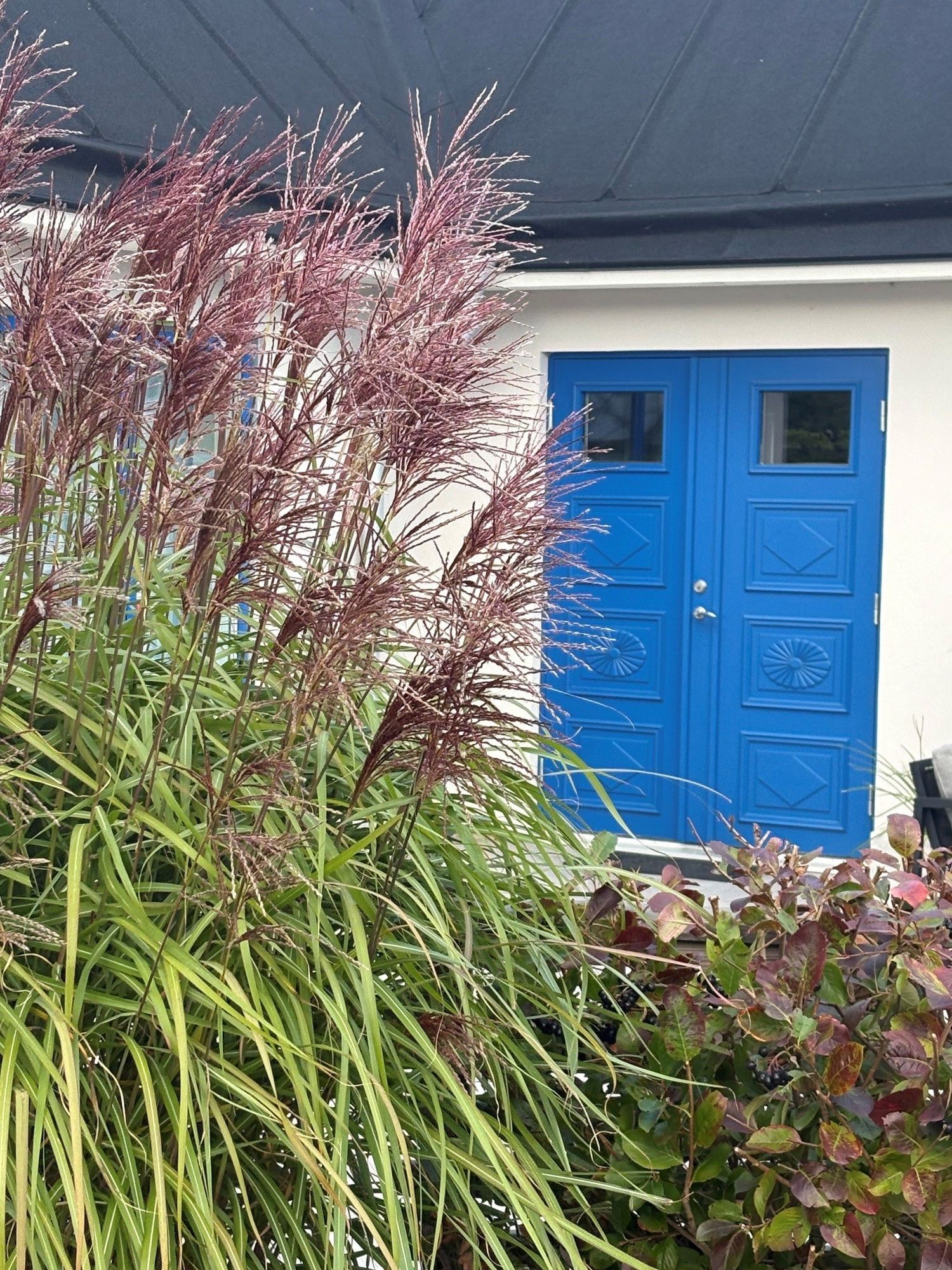 Österlenidyll i Skillinge - 350 meter från havet – bild 7 av 24