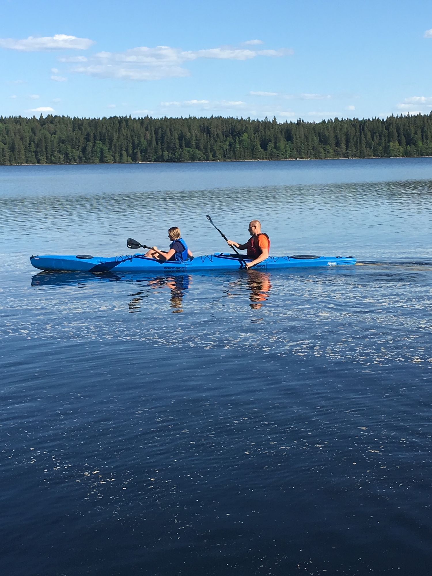 Egen ö, unik stuga, båt (motor), vedbadkar – bild 20 av 24