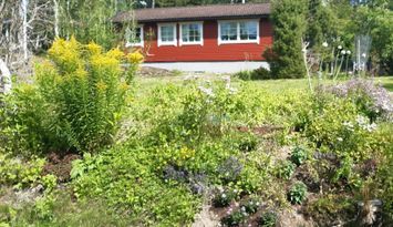 Fräsch bekväm stuga 4 bäddar sjönära