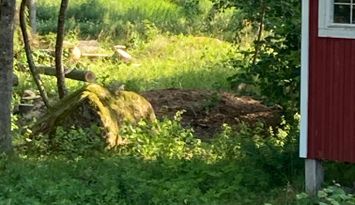 Underbar stuga nära skog, sjö och hav