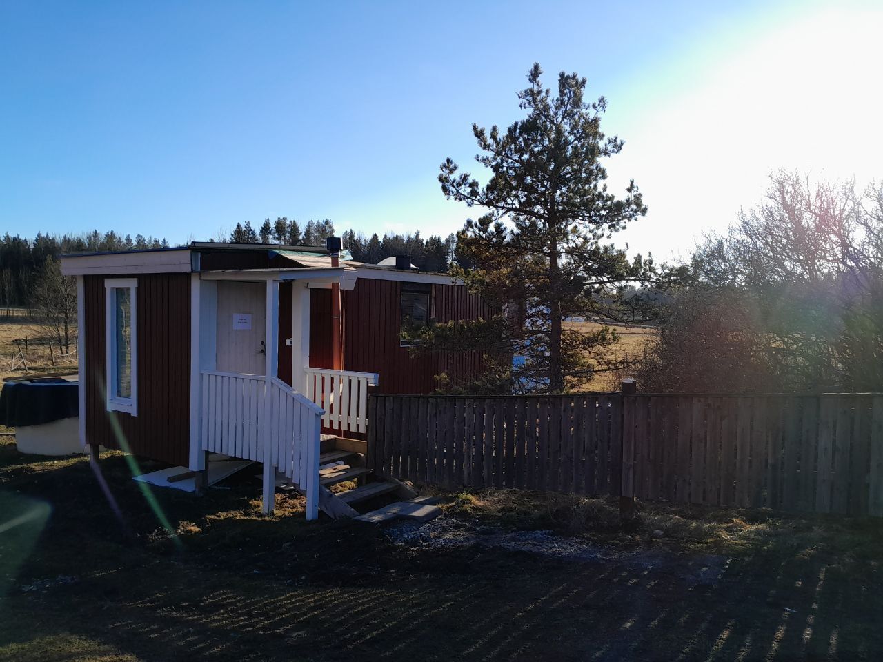 Lugnt och stilla ställe med hästar runtomkring