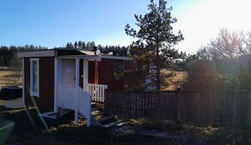 Lugnt och stilla ställe med hästar runtomkring