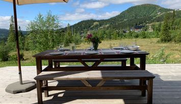 Vinter/sommar Åre Sadeln