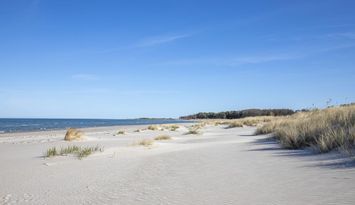 Pärla nära stranden, Böda!