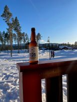 Spacious and apartment in Lofsdalen