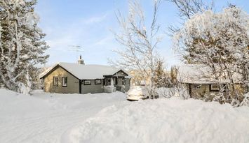 Stuga med kamin och riktig fjällkaraktär