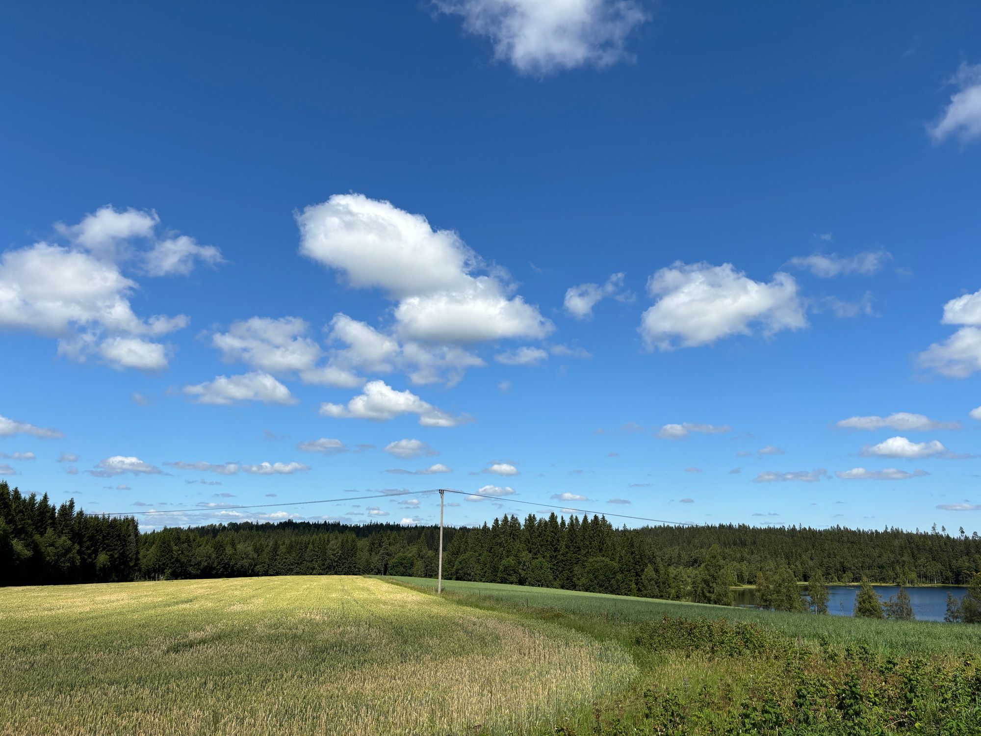 Charmig stuga i rofylld miljö i Kalvsås. – bild 4 av 18
