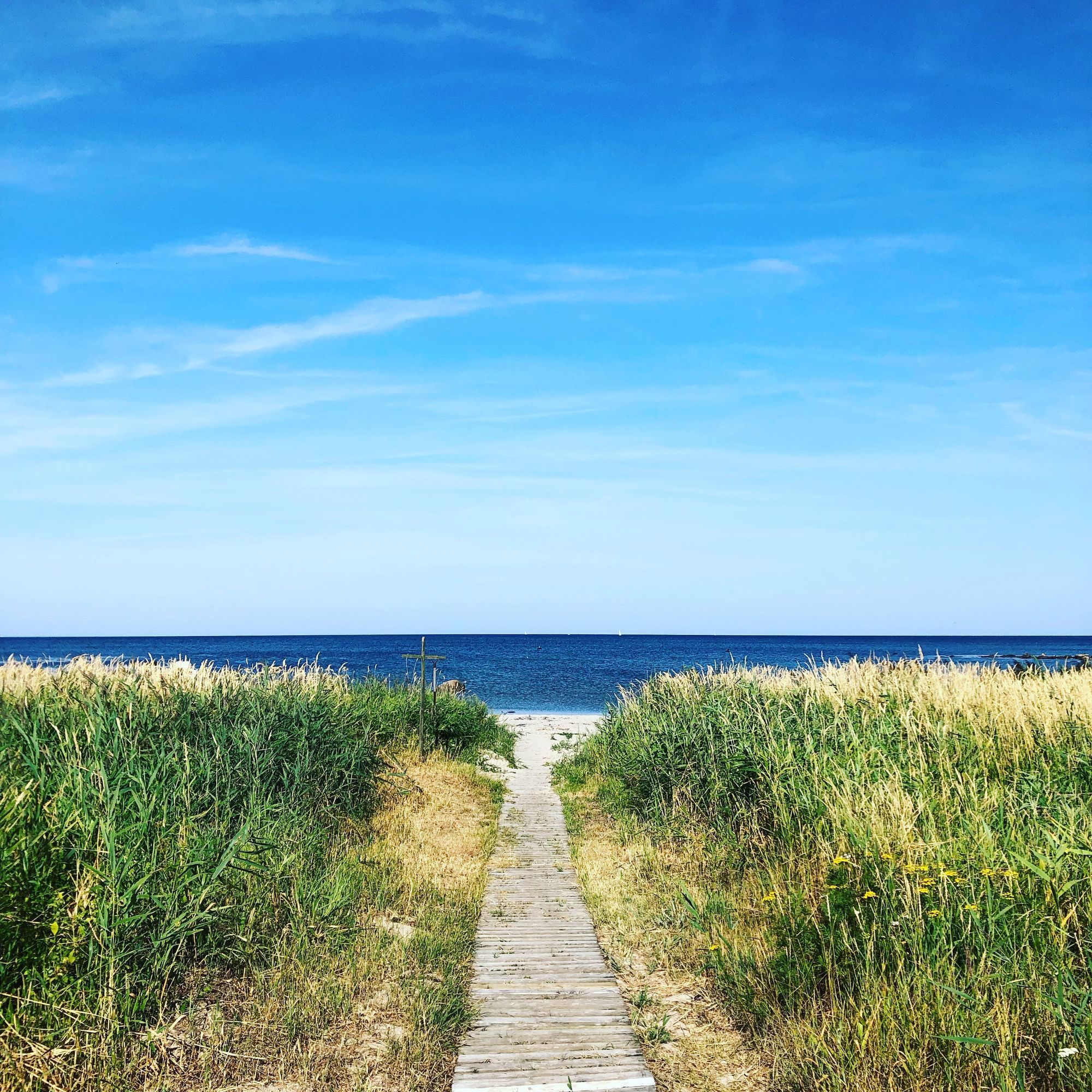 Rymlig familjestuga 200 m från havet – Glommen – bild 18 av 24