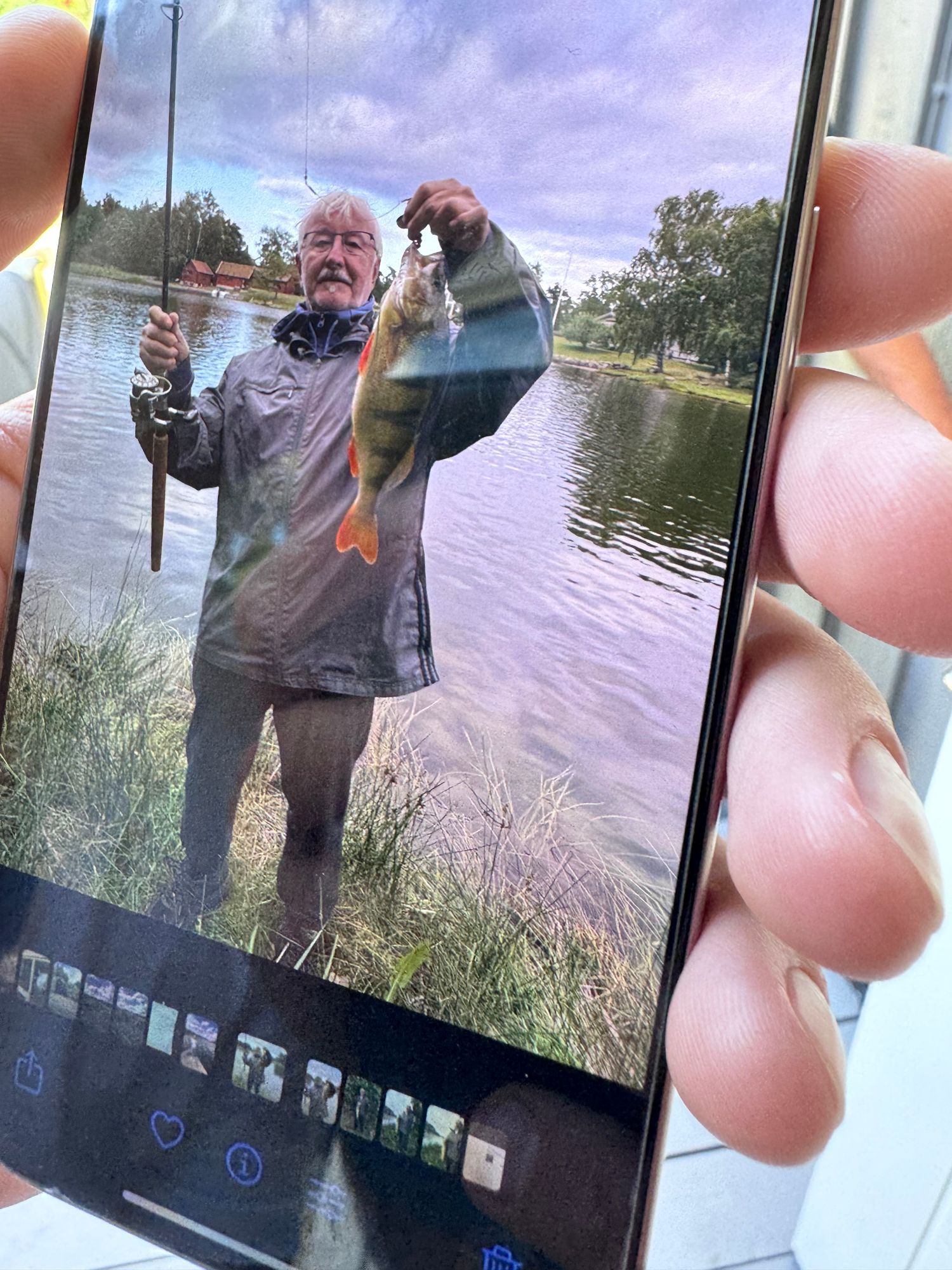 Idylliska Timmernabben ostkusten rivieran – bild 20 av 20