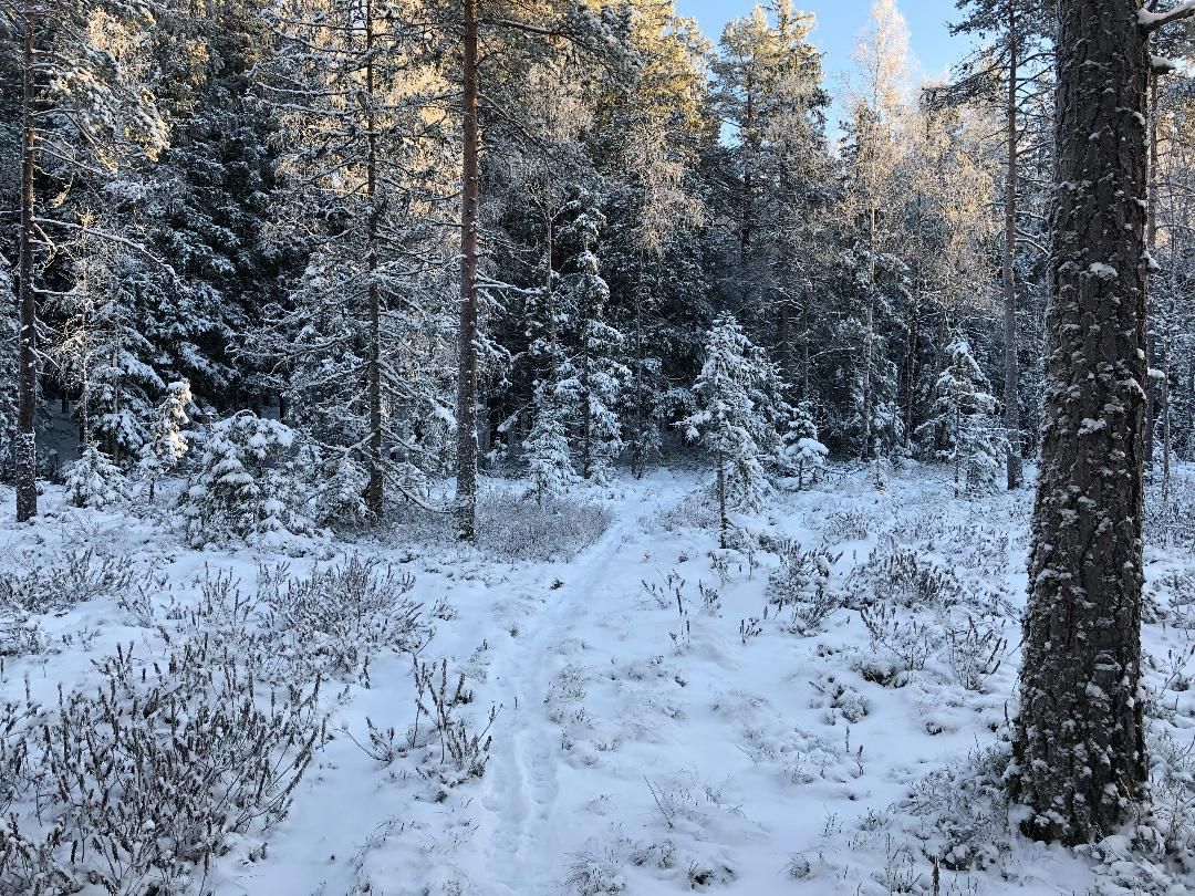 Stuga i Nässjö med 4 bäddar #28714 – bild 19 av 21