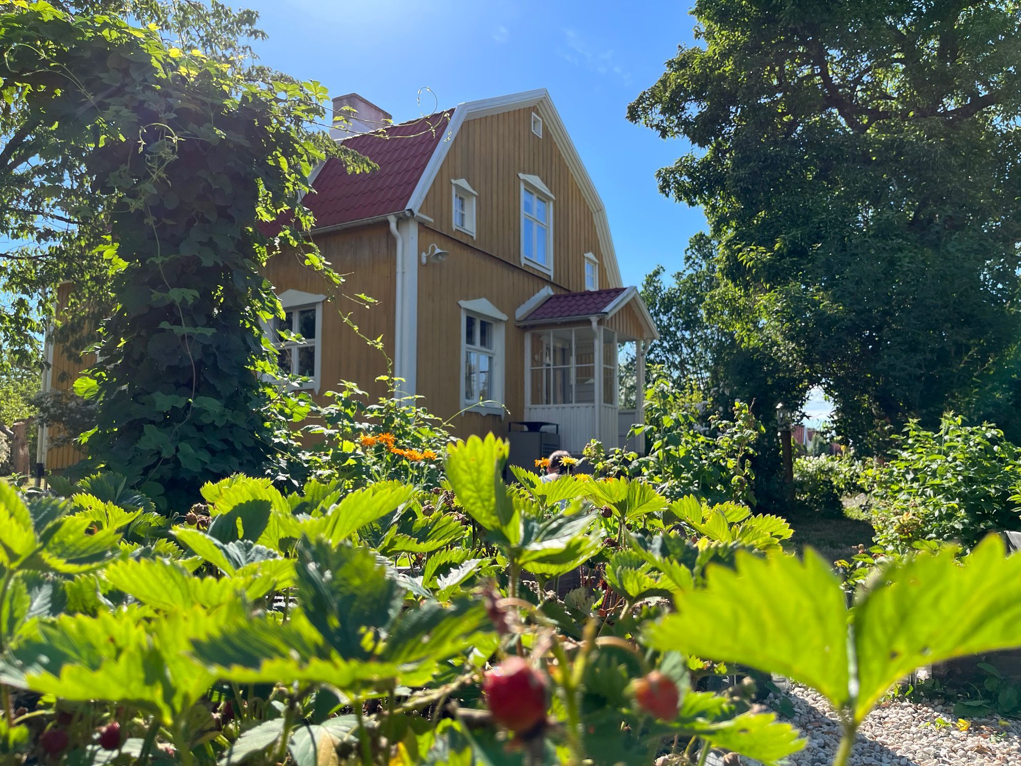 Villa med separat gårdshus – bild 12 av 13