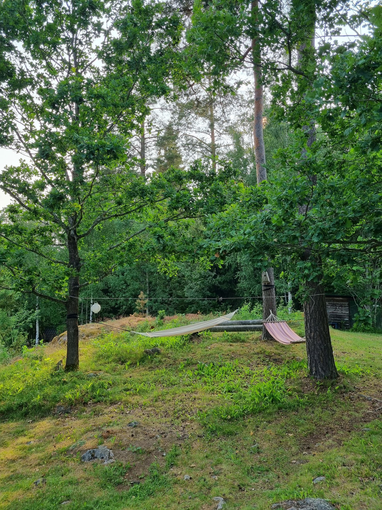 Liten stuga med sjöutsikt – bild 2 av 22