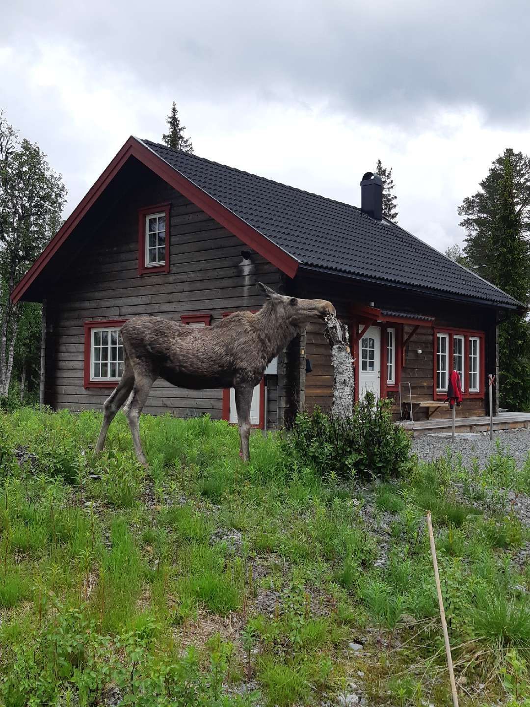 Bo nytt och fräscht i genuina Grövelsjöfjällen! – bild 10 av 24