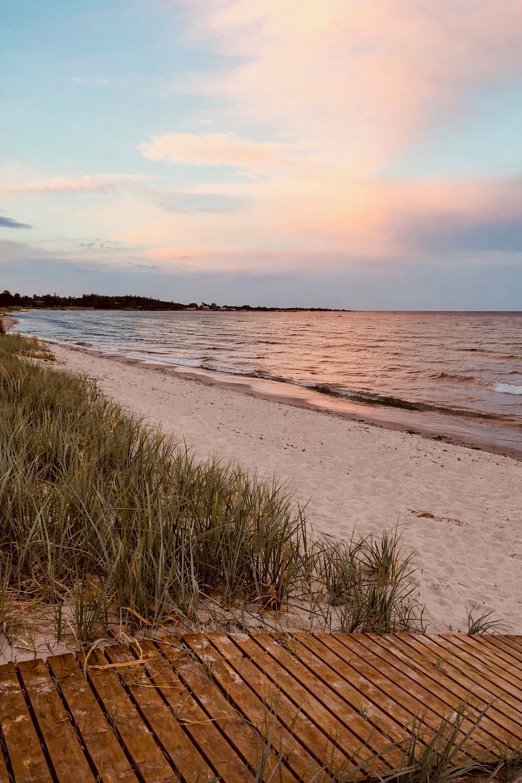Stuga utanför Löttorp, norra Öland. – bild 18 av 22