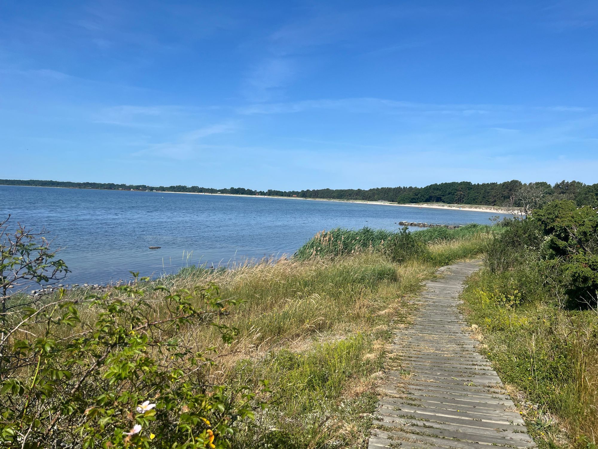 Stuga utanför Löttorp, norra Öland. – bild 21 av 22